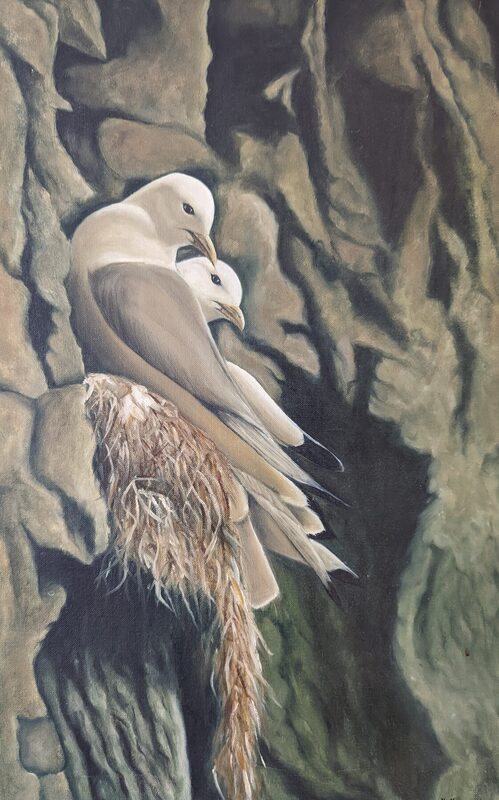 Kittiwakes by Harold Miller-Koren
